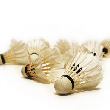 ZZ turnir v badmintonu in namiznem tenisu