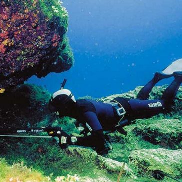 Tečaj PODVODNEGA LOVA