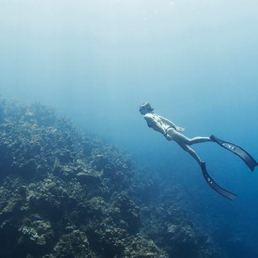 Tečaj potapljanja na vdih – FREE DIVER