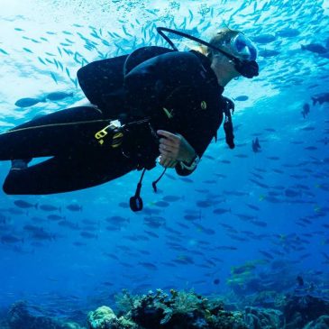 Začetni tečaj potapljanja – OPEN WATER DIVER