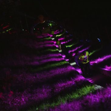 10. Nočni tek na Kalvarijo