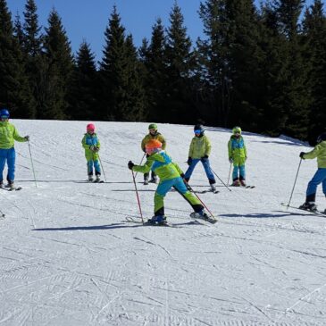 TEČAJ: Učitelj alpskega smučanja 1. stopnje